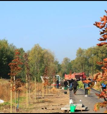 30 de copaci pentru 30 de ani ai companiei Purmo în Rybnik