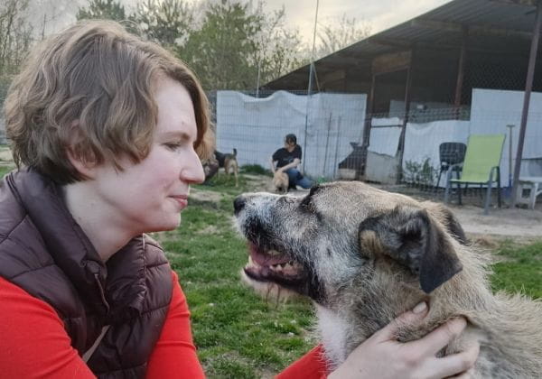 voluntariat la adăpostul pentru câini Walcz